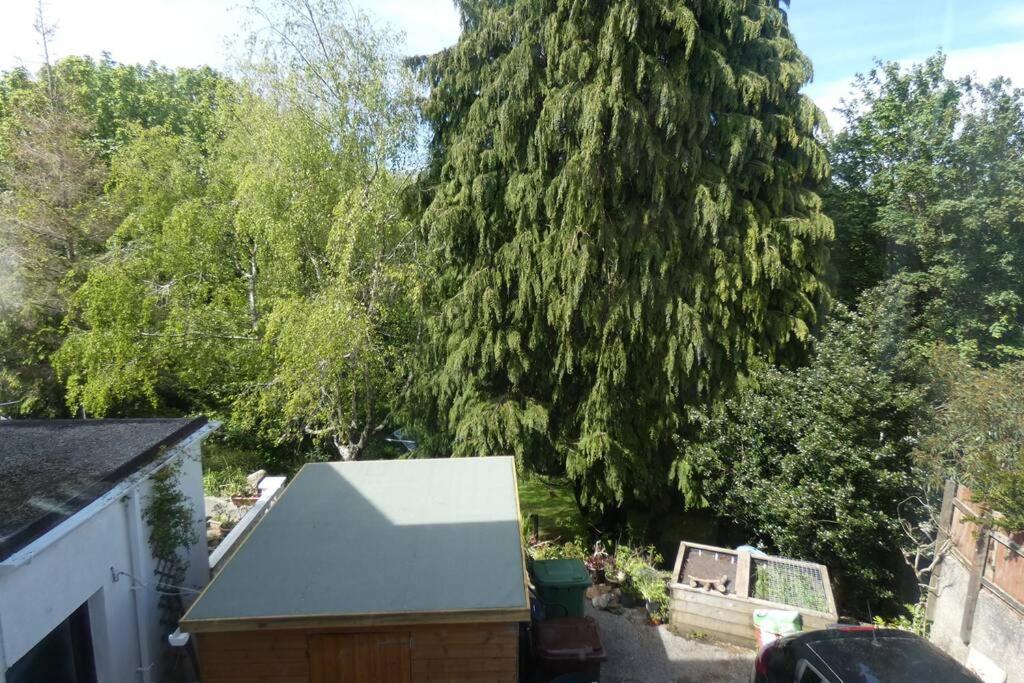 Ferney Croft Daire Saint Erth Dış mekan fotoğraf